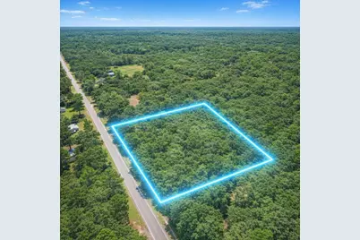 00 E Highway 316, Fort Mc Coy, FL 32134 - Photo 25