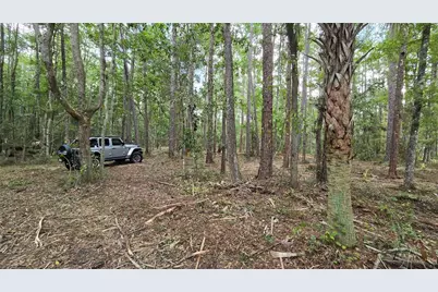 00 E Highway 316, Fort Mc Coy, FL 32134 - Photo 5