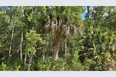 00 E Highway 316, Fort Mc Coy, FL 32134 - Photo 11