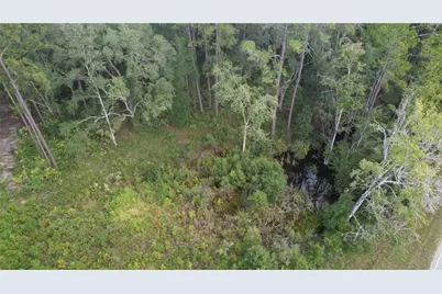 E Highway 316, Fort Mc Coy, FL 32134 - Photo 19