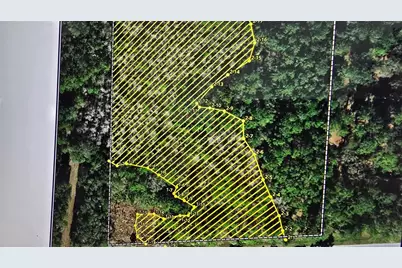 E Highway 316, Fort Mc Coy, FL 32134 - Photo 3