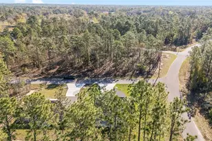 770 NE 151 Ct, Williston, FL 32696 - Photo 47