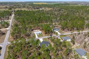 791 NE 150 Ave, Williston, FL 32696 - Photo 51