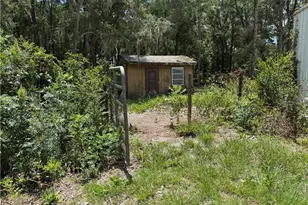 5590 NW 76th Ave, Chiefland, FL 32626 - Photo 15