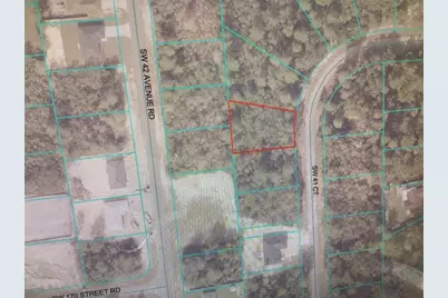 0 SW 41 Court, Ocala, FL 34473 - Photo 3