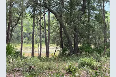 0 NE 114th Avenue Road, Fort Mc Coy, FL 32134 - Photo 7