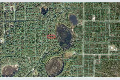 0 NE 114th Avenue Road, Fort Mc Coy, FL 32134 - Photo 3