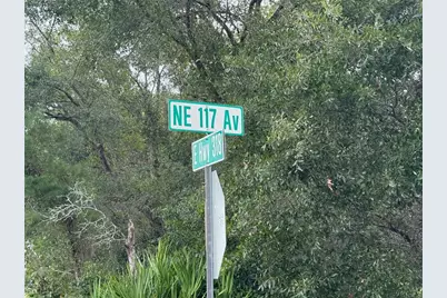 0 NE 114th Avenue Road, Fort Mc Coy, FL 32134 - Photo 17