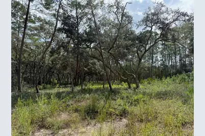 0 NE 114th Avenue Road, Fort Mc Coy, FL 32134 - Photo 9