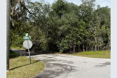 0 NE 114th Avenue Road, Fort Mc Coy, FL 32134 - Photo 11