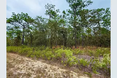 0 NW Alvarez Road, Dunnellon, FL 34431 - Photo 13