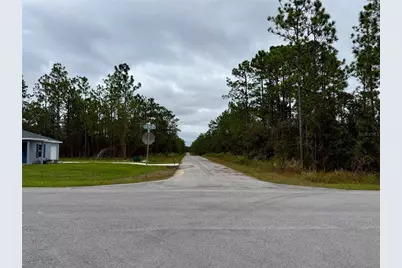 0 NW Alvarez Road, Dunnellon, FL 34431 - Photo 5