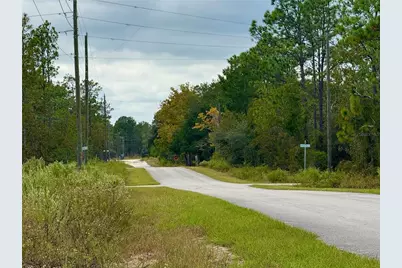 0 NW Alvarez Road, Dunnellon, FL 34431 - Photo 9