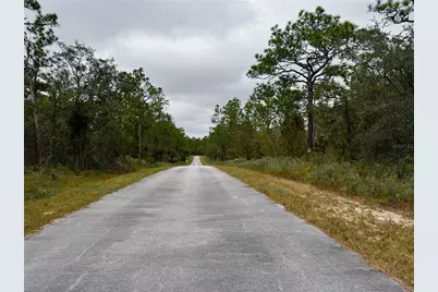 0 NW Alvarez Road, Dunnellon, FL 34431 - Photo 11
