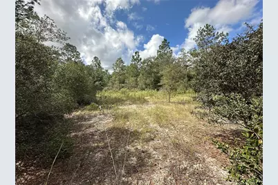 000 SW Audubon Avenue, Dunnellon, FL 34431 - Photo 5