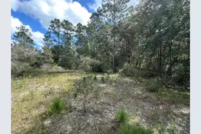 000 SW Audubon Avenue, Dunnellon, FL 34431 - Photo 7