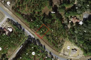 1605 W G Martinelli Blvd, Citrus Springs, FL 34434 - Photo 1