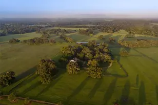 3682 W Hwy 318, Citra, FL 32113 - Photo 21