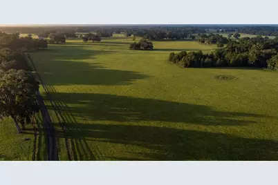 3682 W Highway 318, Citra, FL 32113 - Photo 23