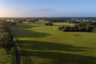 3682 W Hwy 318, Citra, FL 32113 - Photo 23