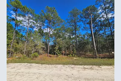 2171 SE 148th Court, Morriston, FL 32668 - Photo 1