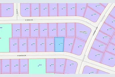 2799 W Gaucho Drive, Citrus Springs, FL 34434 - Photo 3