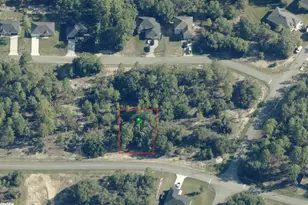 2799 W Gaucho Dr, Citrus Springs, FL 34434 - Photo 1