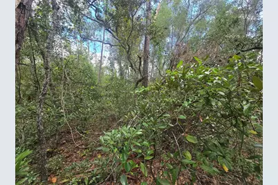 3006 Clearwood Street, Inverness, FL 34452 - Photo 7