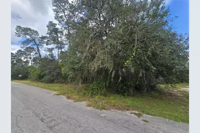 3006 Clearwood Street, Inverness, FL 34452 - Photo 3