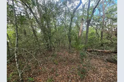 3006 Clearwood Street, Inverness, FL 34452 - Photo 5