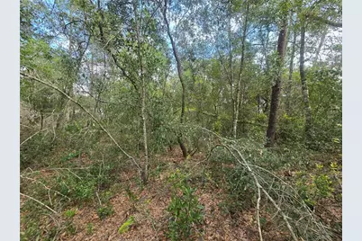 3008 Clearwood Street, Inverness, FL 34452 - Photo 9