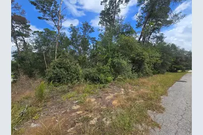 3008 Clearwood Street, Inverness, FL 34452 - Photo 3