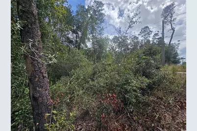 3008 Clearwood Street, Inverness, FL 34452 - Photo 11