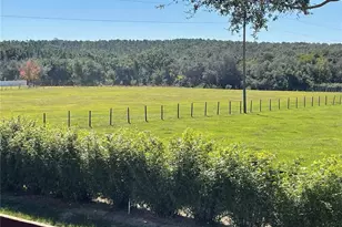 14430 SE Hwy 42, Weirsdale, FL 32195 - Photo 37