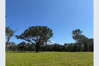 Dr #5 (24Ac) NW 193rd St, Micanopy, FL 32667 - Photo 3