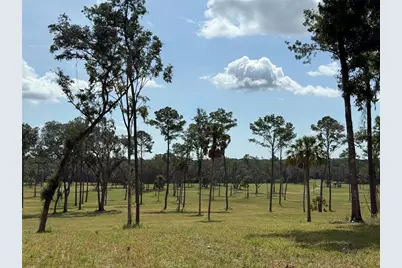 Dr #5 (24Ac) NW 193rd St, Micanopy, FL 32667 - Photo 7