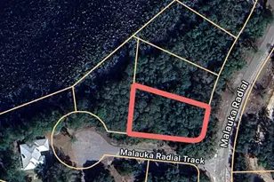 0 Malauka Radial Track, Ocklawaha, FL 32179 - Photo 1