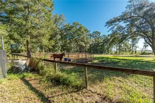 8081 SW 41st Place Rd, Ocala, FL 34481 - Photo 43