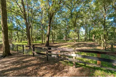 8081 SW 41st Place Road, Ocala, FL 34481 - Photo 45