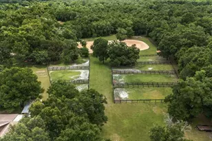 6490 NE 167th Ave, Williston, FL 32696 - Photo 3