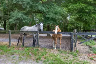 6490 NE 167th Ave, Williston, FL 32696 - Photo 17