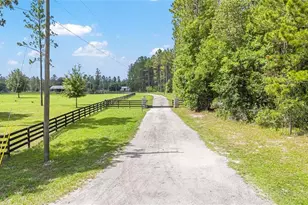 6490 NE 167th Ave, Williston, FL 32696 - Photo 11