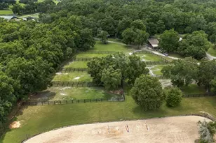 6490 NE 167th Ave, Williston, FL 32696 - Photo 25