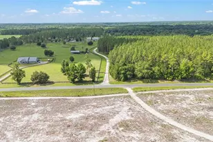 6490 NE 167th Ave, Williston, FL 32696 - Photo 3