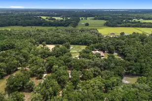 6490 NE 167th Ave, Williston, FL 32696 - Photo 33