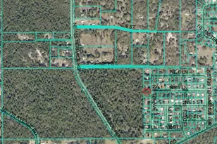 NE 128th Ave, Silver Springs, FL 34488 - Photo 1