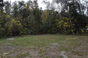 0 NW 45 St, Ocala, FL 34482 - Photo 1