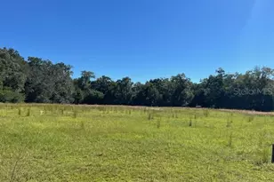 N Hwy 441, Citra, FL 32113 - Photo 1