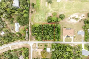 00 SW 204 Th Ct, Dunnellon, FL 34431 - Photo 1