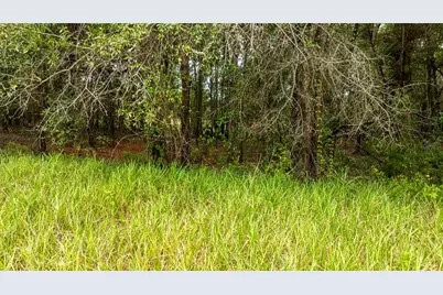 00 SW 204th Court, Dunnellon, FL 34431 - Photo 7